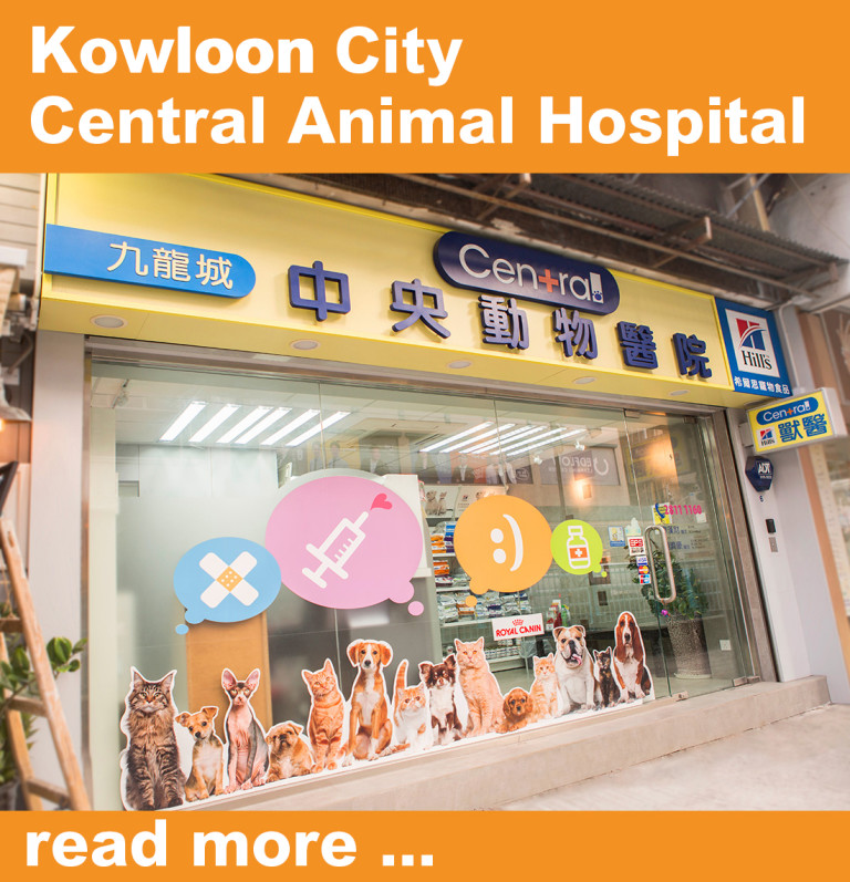 中央動物醫院 – Central Animal Hospital Hong Kong