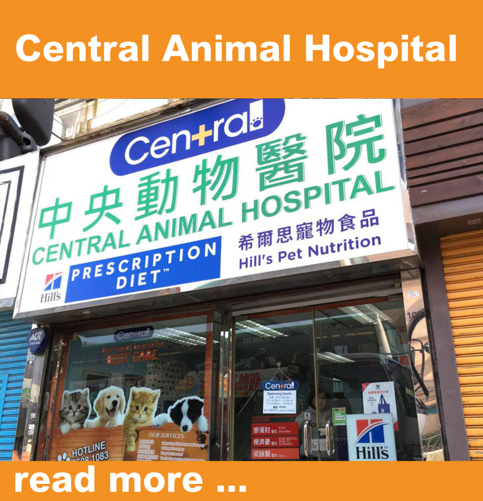 中央動物醫院 – Central Animal Hospital Hong Kong